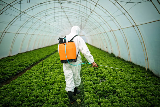 Best Commercial Pest Control Services  in Blackwood, NJ