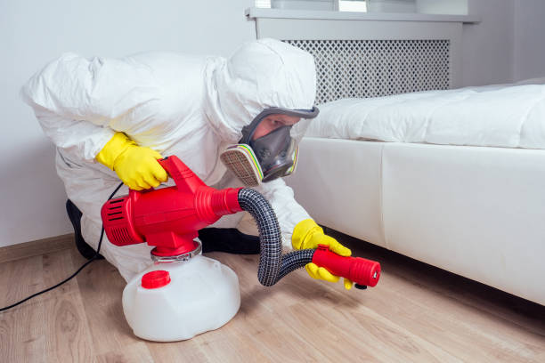 Best Flea Control Services  in Blackwood, NJ