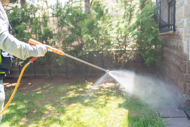 Bird Control in Blackwood, NJ
